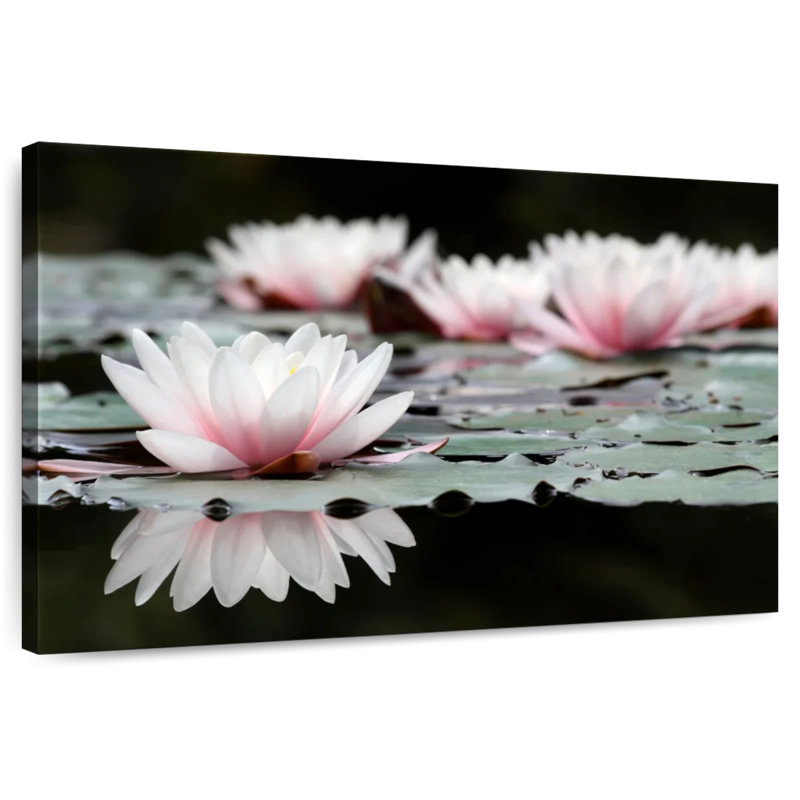 Harnek fleurs de lotus subtiles, H 34 po x l 51 po