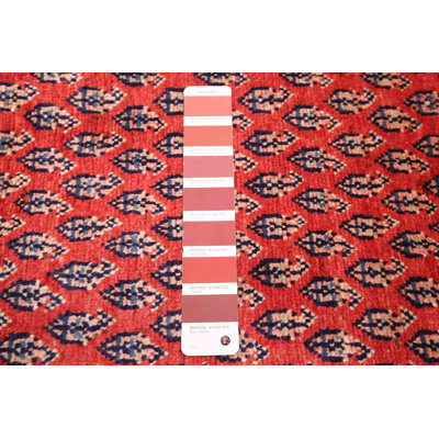 Andelz Red Rug 3'5" x 10'4"