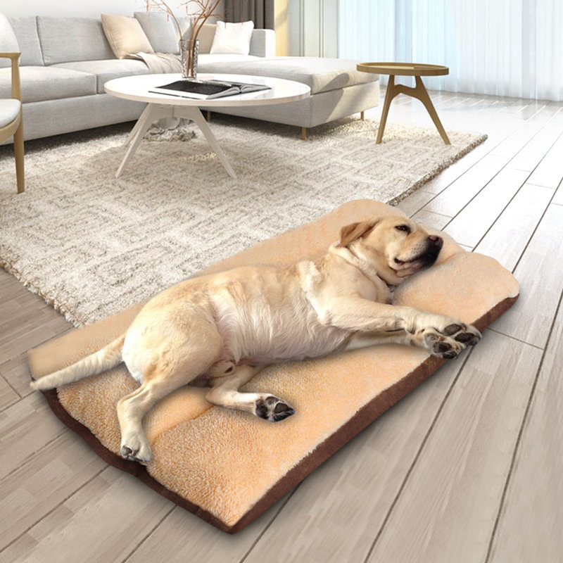Lit pour chien avec coussin Goldie, Petit (l 27,6 po x P 19,7 po x H 3 po)