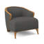 Penegrine Lounge Chair-71594660-71069820