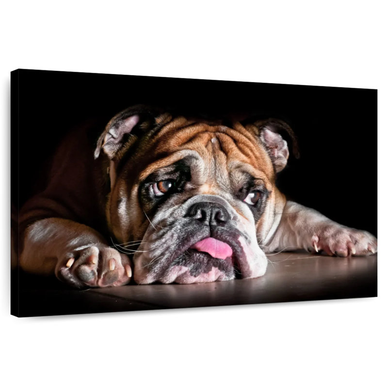 Sad Bulldog, 30" H x 45" W