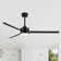Chaffins Large Matte Black Indoor/Covered Outdoor Ceiling Fan with Light and Remote, 3 Aluminum Blades, 6-Speed Quiet DC Motor, LED Tri-Color Temperature, Memory Function, Timer, 6''/12'' Downrods