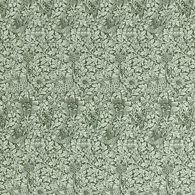 Bird & Anemone Weave