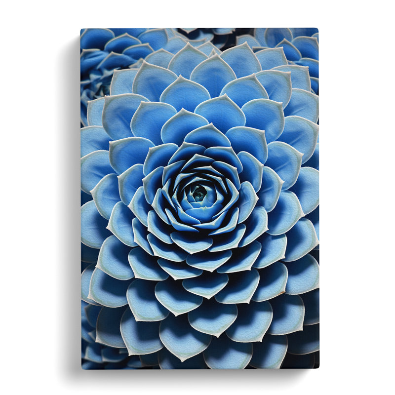 Succulent Op - Print, 76cm H x 50cm W x 3cm D