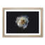 A Crisp White Rose in Abstract - Picture Frame Graphic Art Print-55629530-55629535