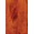 Cinnamon