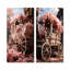 Romantisme, charriot de mariage rose-1179203751-1179203733