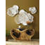 Flower Wall Décor-1016111514