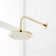 Lexia Pressure Balance Shower Set