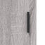 Marayla 1 - Door Standard Accent Cabinet-2015419487