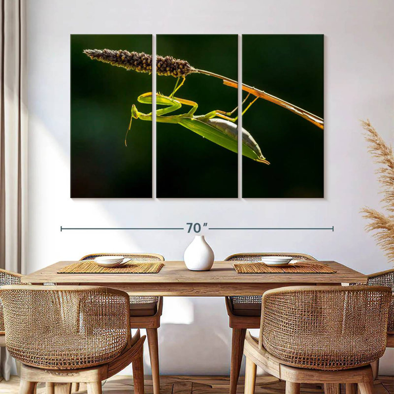 Hanging Praying Mantis, 48" H x 74" W