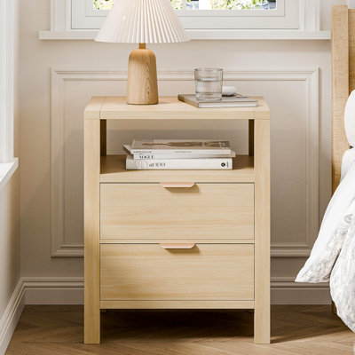 Avelyn 21'' W 2-Drawer Nightstand with Shelf