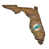 Miami Dolphins