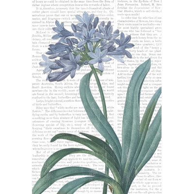 Summer Botanicals I V2 - Wrapped Canvas Print