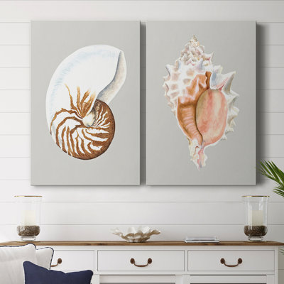 Nautilus-Premium Gallery Wrapped Canvas -Ready to Hang