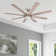 Xerxes Modern Indoor Ceiling Fan with Lights and Remote Control