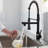 FLG Pull Down Kitchen Faucet