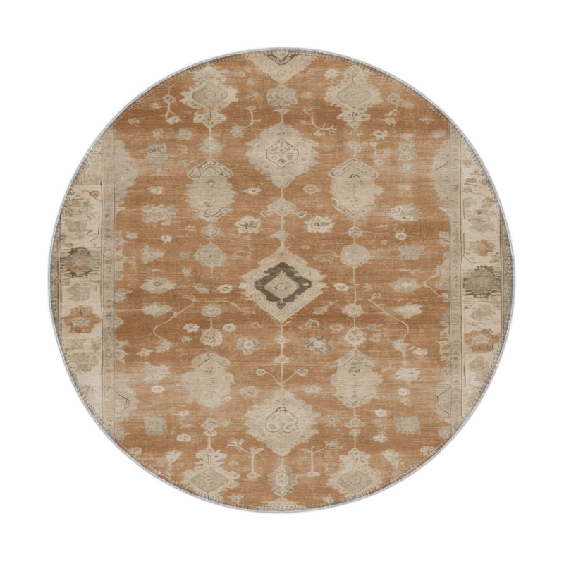 Tapis intérieur et extérieur brun Overdyed, Rond 5 pi