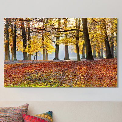 « forest path », reproduction de photo sur toile tendue