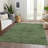 Machine Washable Indoor/Outdoor Segin ACN1111 Fern-109485530