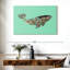 Baleine vive Brampt-107868602