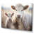 Wrapped Canvas
