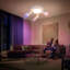 Shelvin Spotlight-751487647