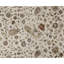 Chantel One-of-a-Kind 9' X 12'1" Area Rug