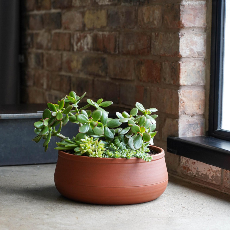 Ceramic Pot Planter, 14 cm H x 38 cm W x 38 cm D, Umber