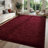 Shahen Rectangle Shag Area Rug-778986046-738442597
