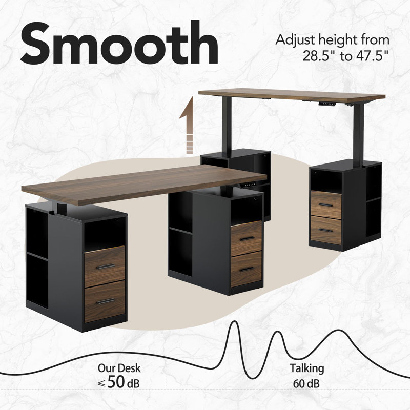 55" Electric Standing Desk with Drawers, Height Adjustable Executive Desk with Storage, Computer Workstation for Home Office, Black Walnut