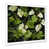 Cadre simple blanc