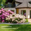 20.32cm H x 600cm W Lawn Edging