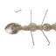 Spoon Ant Figurine