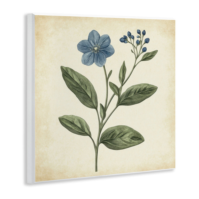 Plaque murale rétro «Blue Blossoms Wildflower» par Petal Prints Design