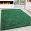 Adavia Shaggy Rug-1923845181-1984604623