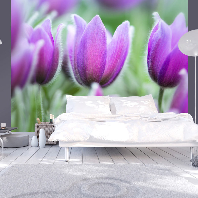 Purple Tulips in Spring 3.09m x 400cm Wallpaper, 200 cm L x 154 cm W