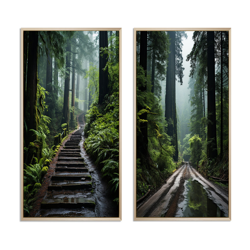 «USA Jedediah Smith Redwoods Forest», 2 pièces, Encadrement brun, H 40 po x l 40 po