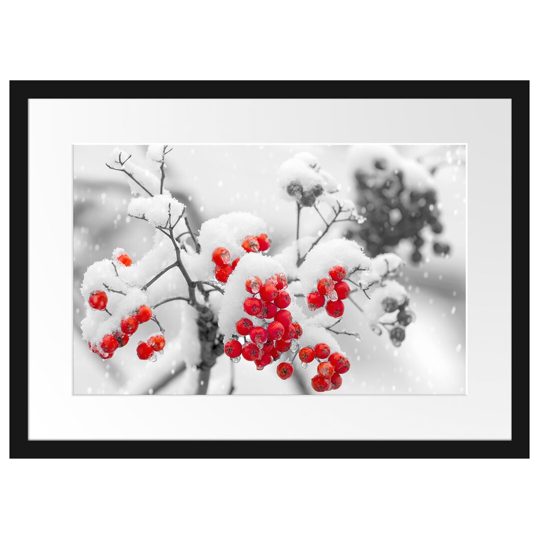 Gerahmtes Poster Rote Vogelbeeren im Winter