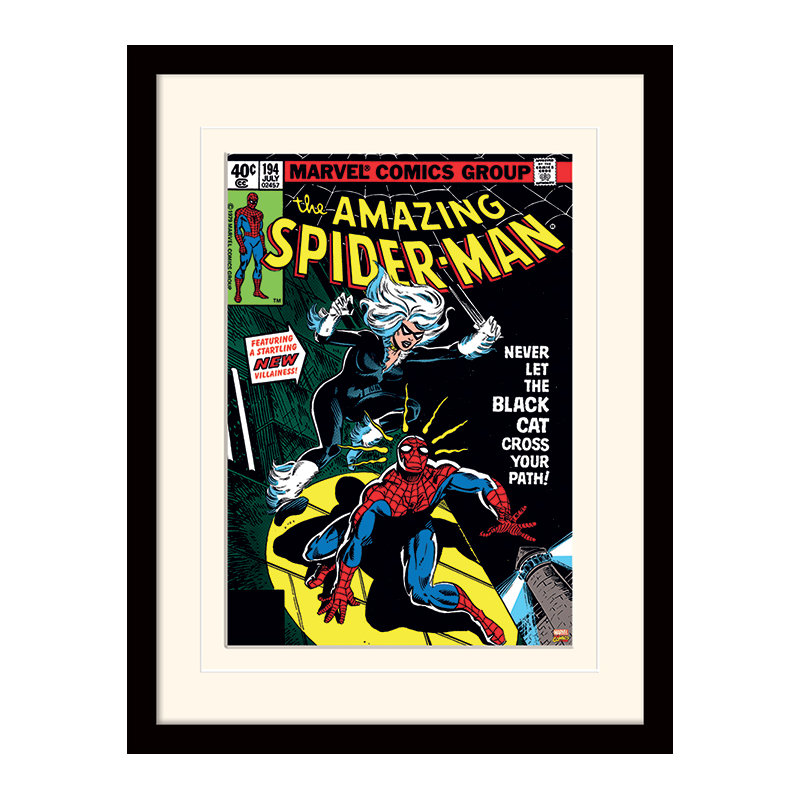 Spider-Man Black Cat Framed Graphic Art Print
