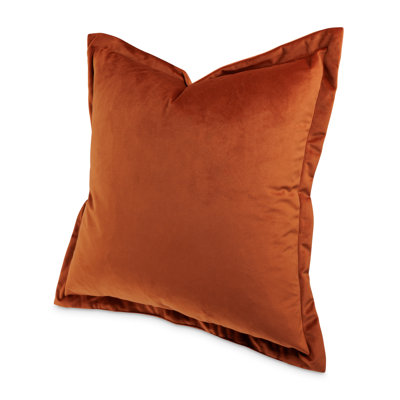 Conner 20" Velvet Throw Pillow
