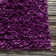 Wool Indoor Rug