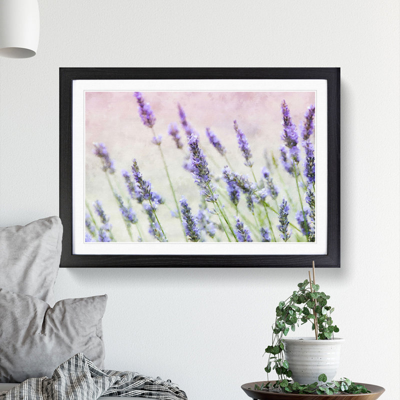 A Field Of Lavender - Single Picture Frame Print on MDF, Black, 62cm H x 87cm W x 2cm D