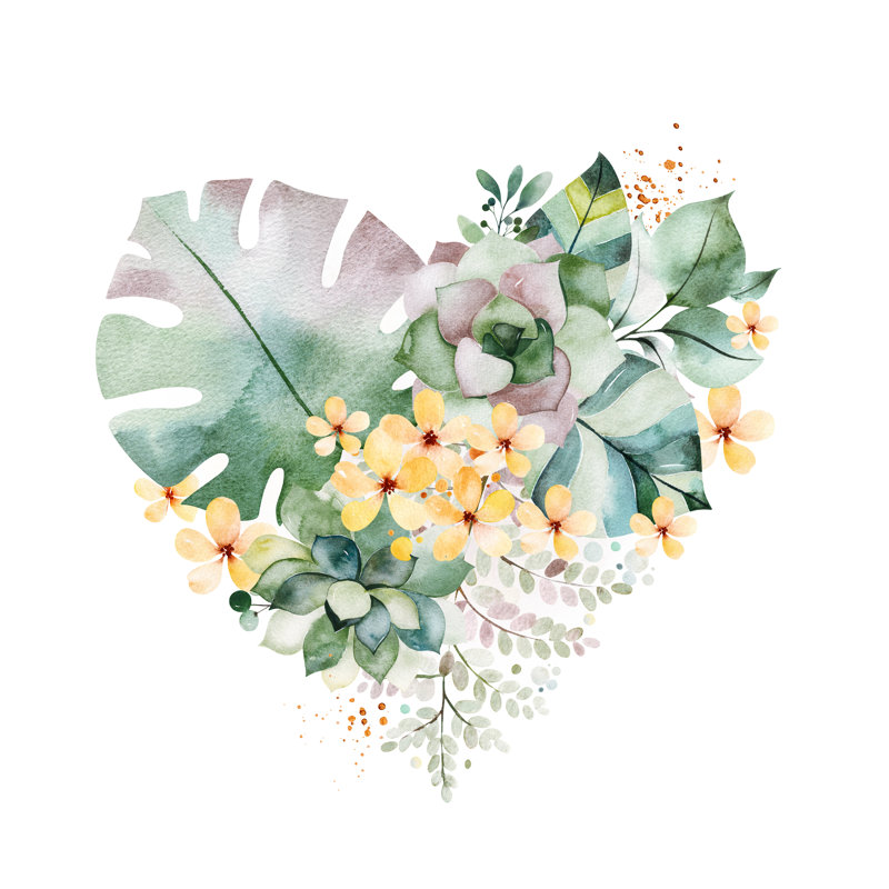 Seagoville Arrangement With Succulents - Wrapped Canvas Painting, 30cm H x 30cm W x 3.8cm D