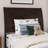 Fitzsimmons Solid Wood Platform Bed with Matching Footboard and Trundle-156627432-238577239