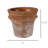 Ajahn Pot Planter-1372294894