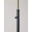 Rotisha 61'' Dimmable LED Floor Lamp
