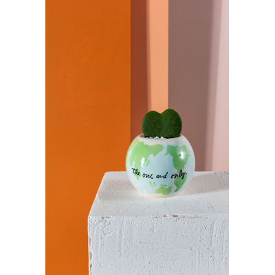 Bartruff Ceramic Indoor Pot Planter