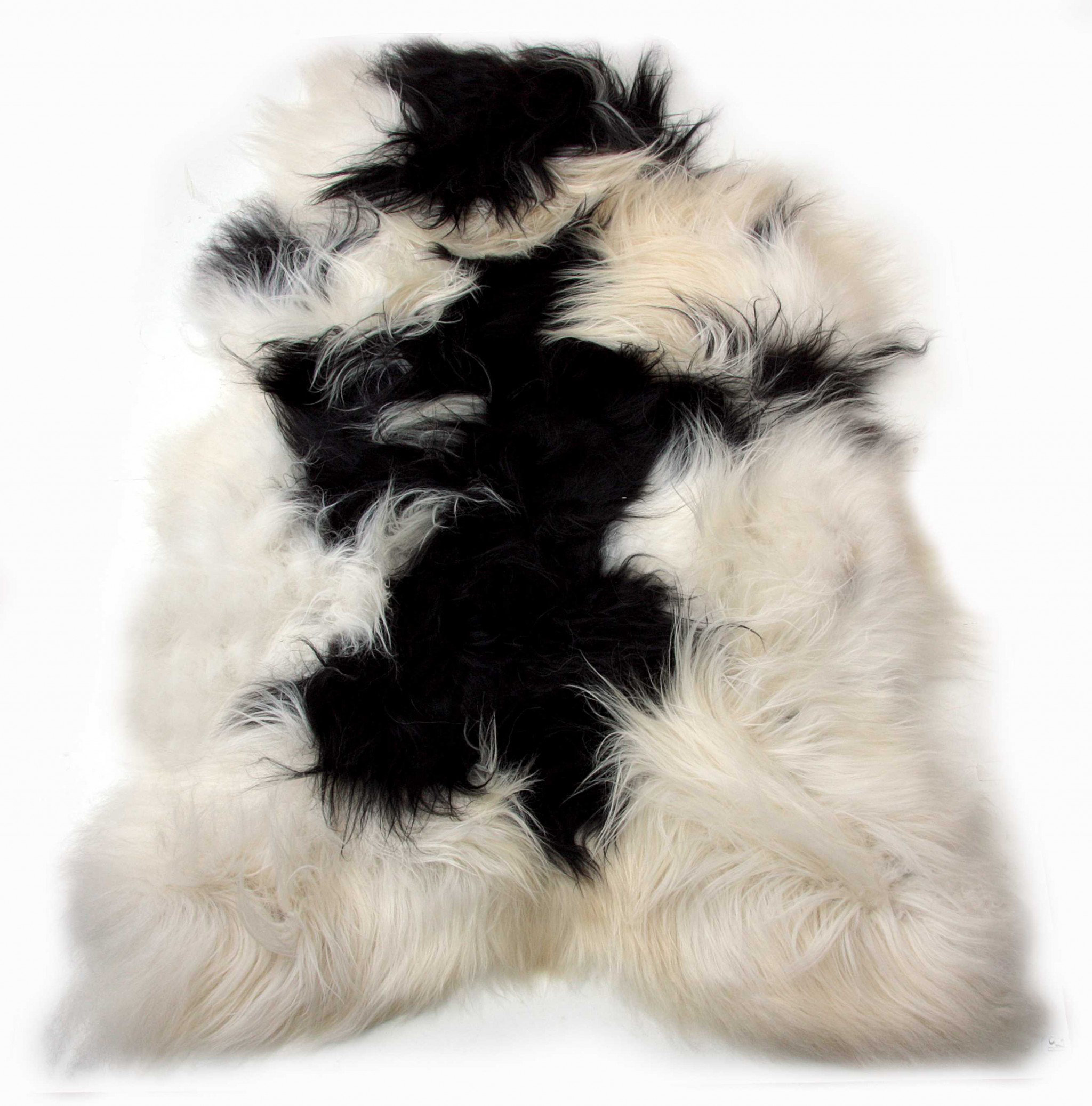 Mercer41 Fetch Abstract Handmade Sheepskin Novelty 2' x 3' Area Rug in ...