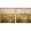 Fleurs de marguerite brunes assorties de marguerites sauvages-97923462-97923463